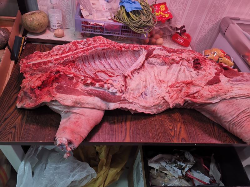 黑猪肉批发