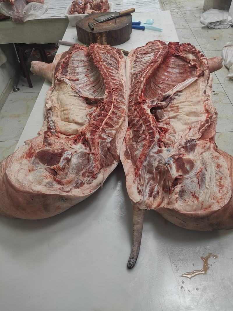 黑猪肉批发
