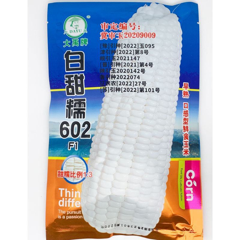白甜糯320早熟白甜糯玉米种子大棒非转甜加糯白玉米种原装