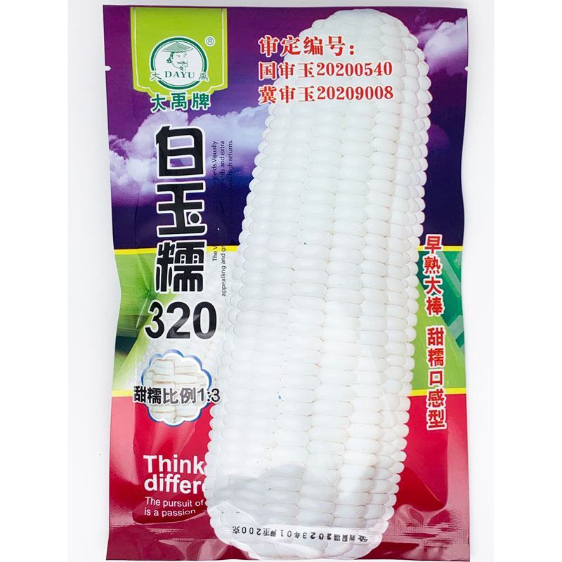 白甜糯320早熟白甜糯玉米种子大棒非转甜加糯白玉米种原装