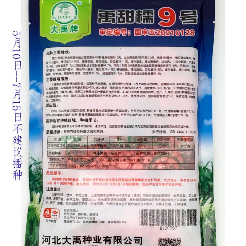 白甜糯320早熟白甜糯玉米种子大棒非转甜加糯白玉米种原装