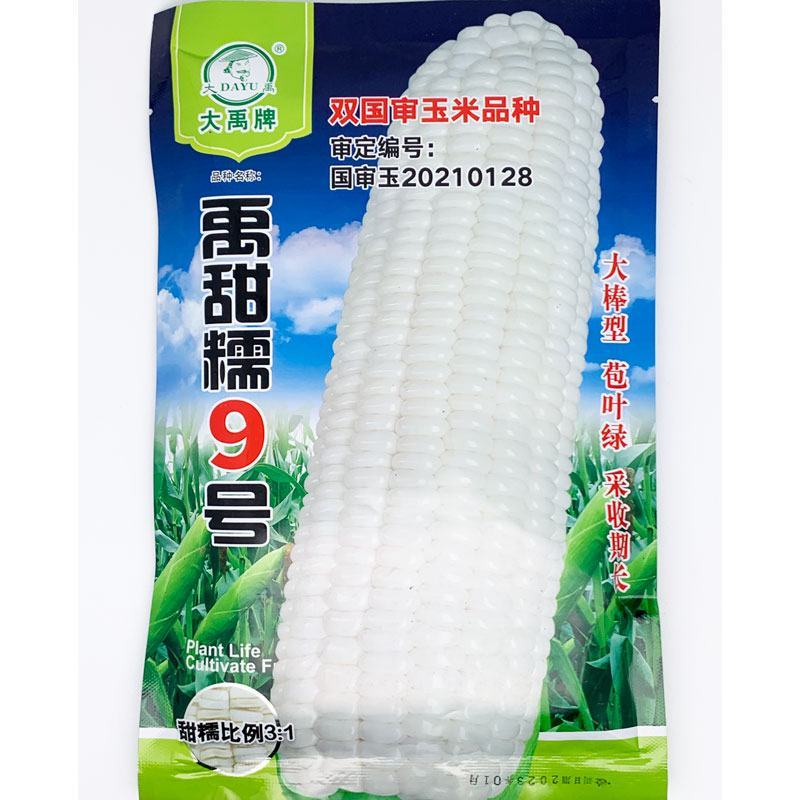 白甜糯320早熟白甜糯玉米种子大棒非转甜加糯白玉米种原装