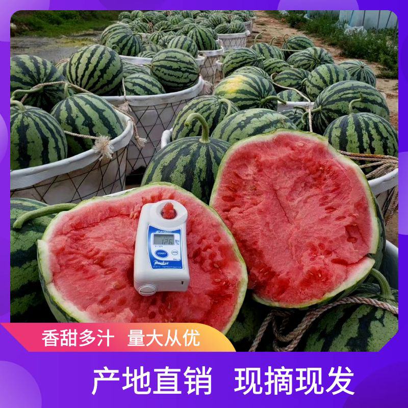 [麒麟西瓜批发]海南昌江县西瓜 2.30元/斤海南大棚麒麟西瓜， _ 一亩田