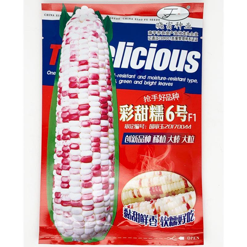 晓富彩甜糯6号玉米种子高产大棒甜加糯花玉米种200克原装