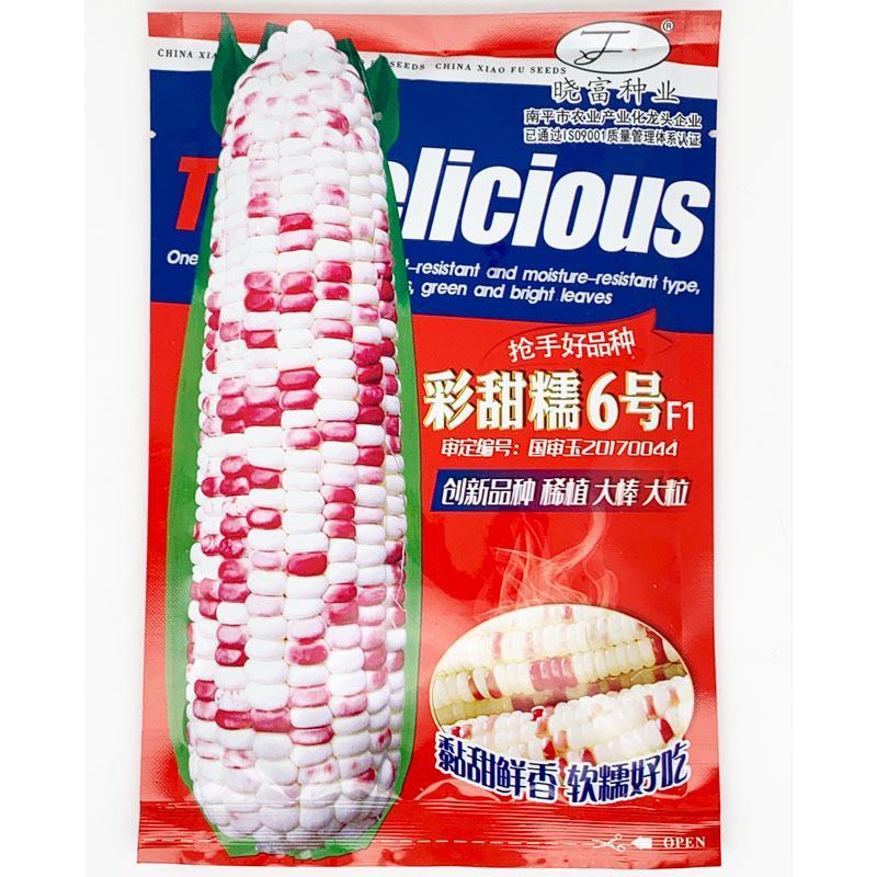 晓富彩甜糯6号玉米种子高产大棒甜加糯花玉米种200克原装