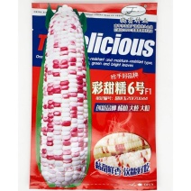 晓富彩甜糯6号玉米种子高产大棒甜加糯花玉米种200克原装