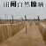 河北红薯粉条产地批发大量供货，保质保量量大从优欢迎客商