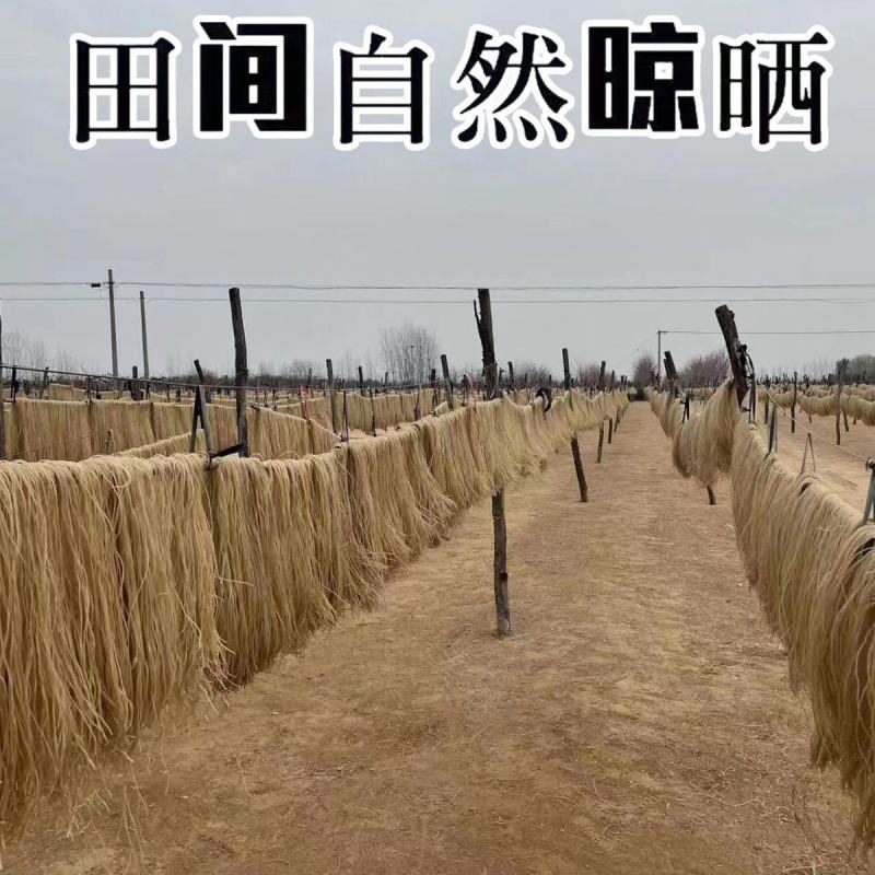 河北红薯粉条产地批发大量供货，保质保量量大从优欢迎客商
