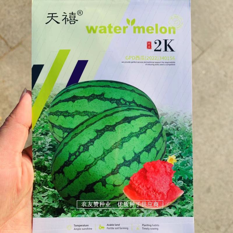 天禧2k礼品西瓜种子皮薄大红瓤糖度高椭圆形早熟小西瓜品种