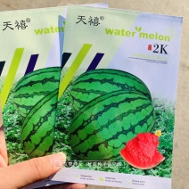 天禧2k礼品西瓜种子皮薄大红瓤糖度高椭圆形早熟小西瓜品种