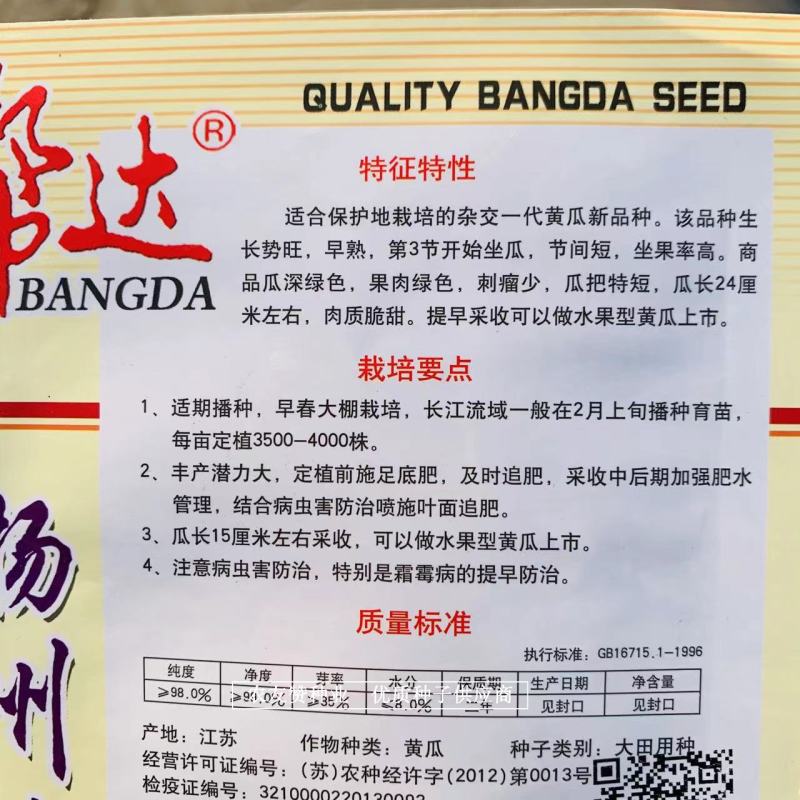 帮达扬州美女水果黄瓜种子刺瘤少瓜把短，肉质脆甜黄瓜种子