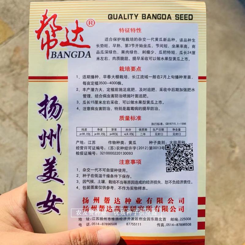 帮达扬州美女水果黄瓜种子刺瘤少瓜把短，肉质脆甜黄瓜种子