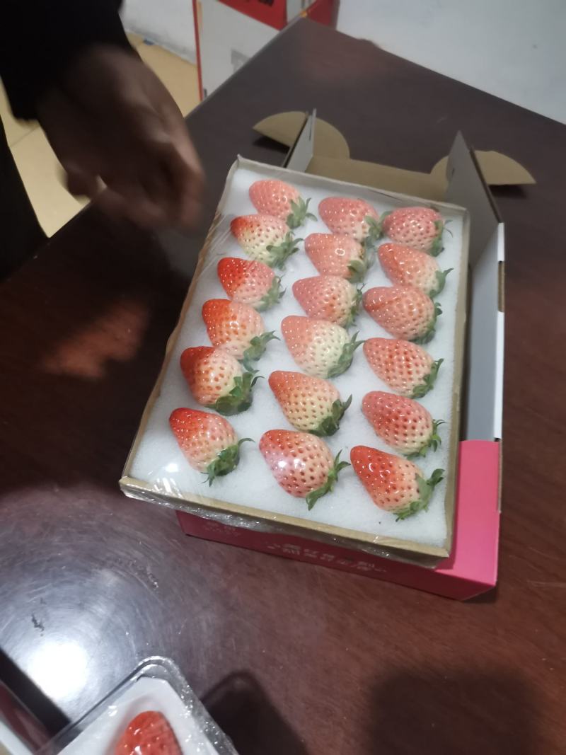 精包装商超专用电商直供代加工