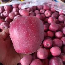 礼县花牛苹果产地直发一手货源充足品质保证价格美丽