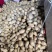 沃土5号土豆V7土豆货源足，规格齐全按需加工质量保证