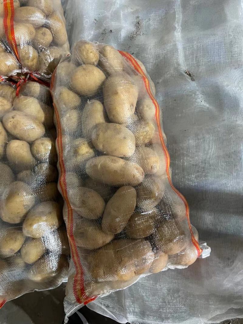 沃土5号土豆V7土豆货源足，规格齐全按需加工质量保证