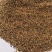 绛三叶种子车轴草蜜源花卉饲用牧草固土护坡观赏绿化草坪绿化