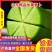 山东青萝卜，绿萝卜，水果萝卜0.6~1.5斤起