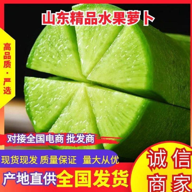 山东青萝卜，绿萝卜，水果萝卜0.6~1.5斤起