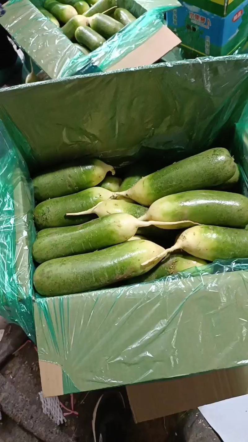 山东水果萝卜，口感嘎嘎脆甜，商超，电商平台，