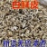 中药材白鲜皮新货无硫规格齐全一公斤起批