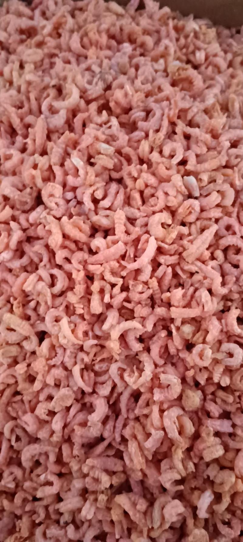 山东沾化一手货源自己加工海虾米大量到货