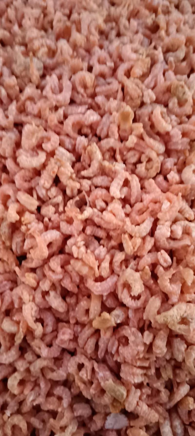 山东沾化一手货源自己加工海虾米大量到货