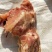 冻品肉鸡下半架，鸡架的下一半。。。。。。。。