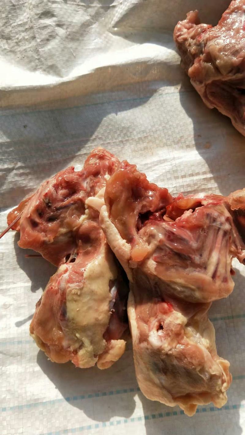 冻品肉鸡下半架，鸡架的下一半。。。。。。。。