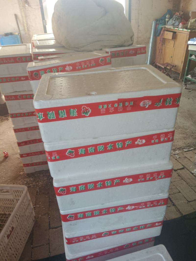 贝贝圣女果基地发货，货源充足