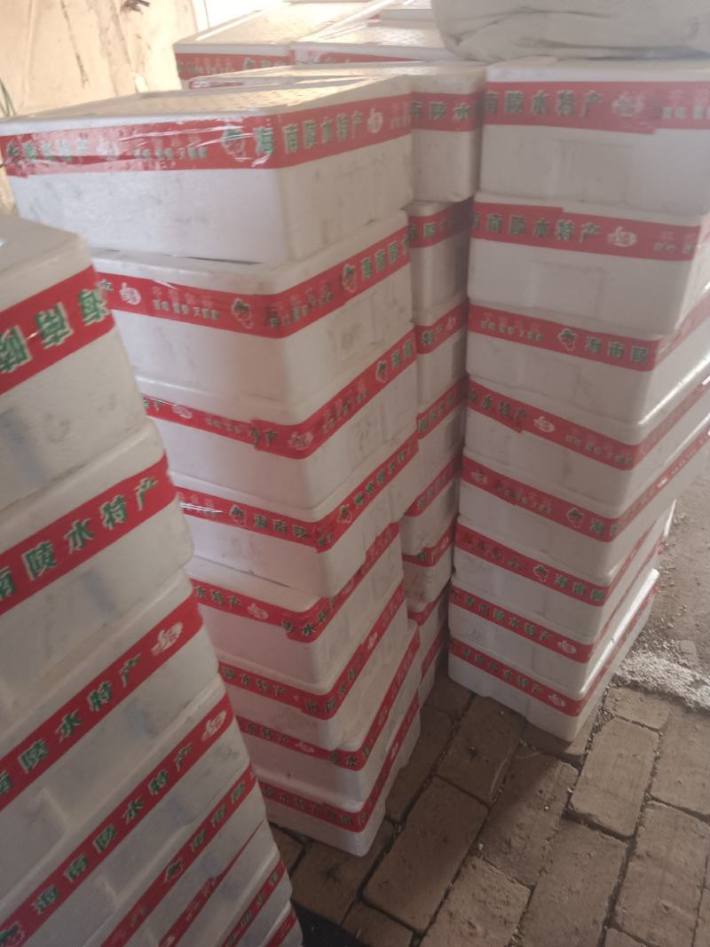 贝贝圣女果基地发货，货源充足