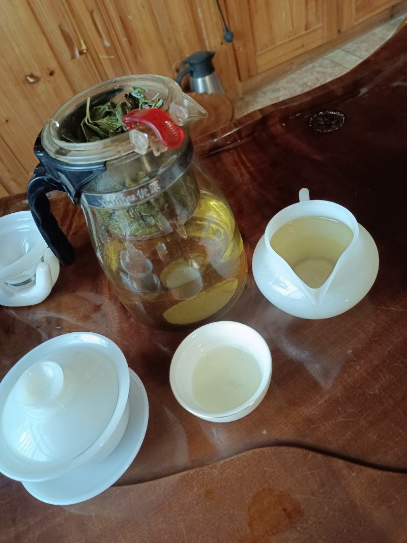 甜茶叶刺儿茶天然香甜的味茶叶保健茶
