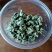 甜茶叶刺儿茶天然香甜的味茶叶保健茶