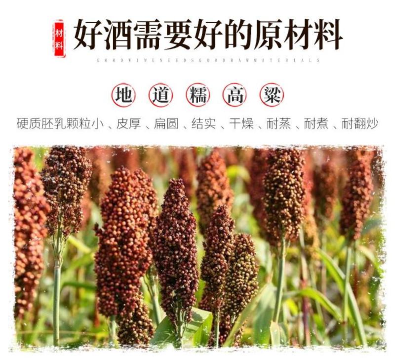 中国梦系列酒龙年生肖酒52度酒整箱批发福利酒