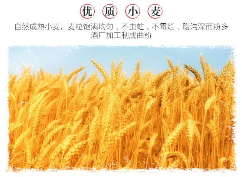中国梦系列酒龙年生肖酒52度酒整箱批发福利酒