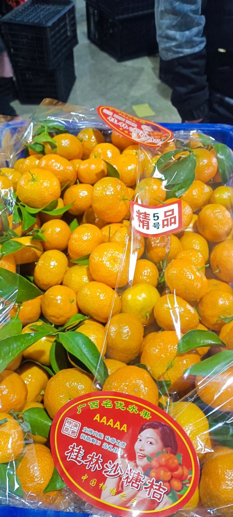 砂糖橘.八月橘.沃柑