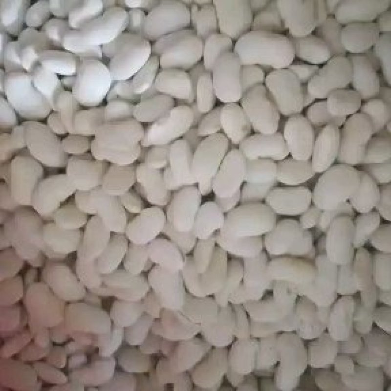 大白豆百芸豆保质保量价格实惠全国发货