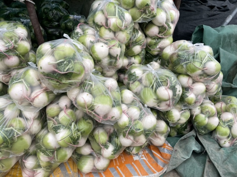 需要的朋友可以联系我
