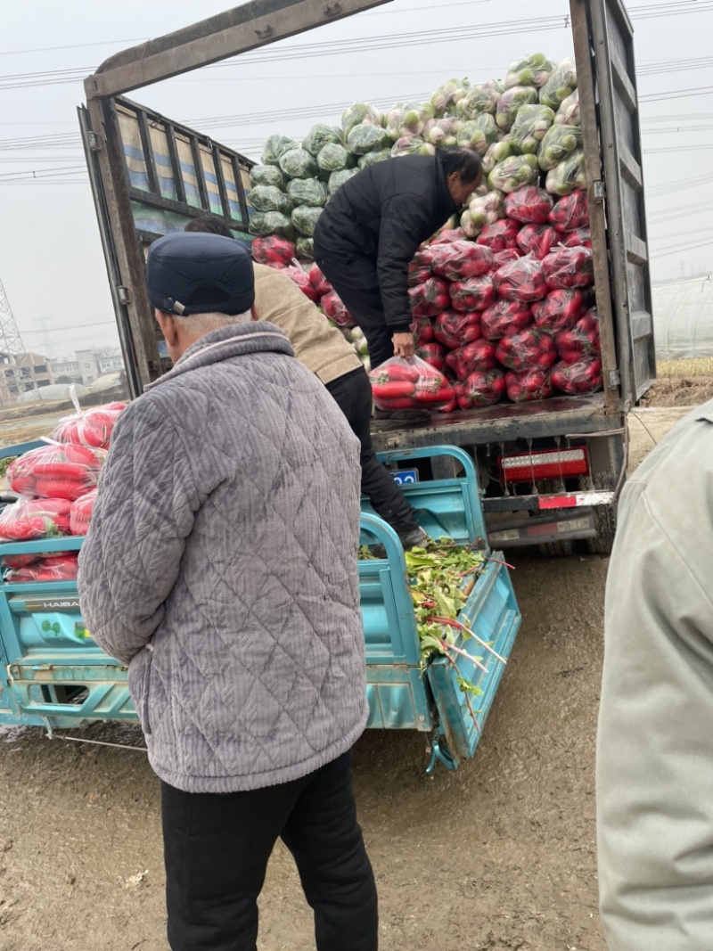 需要的朋友可以联系我