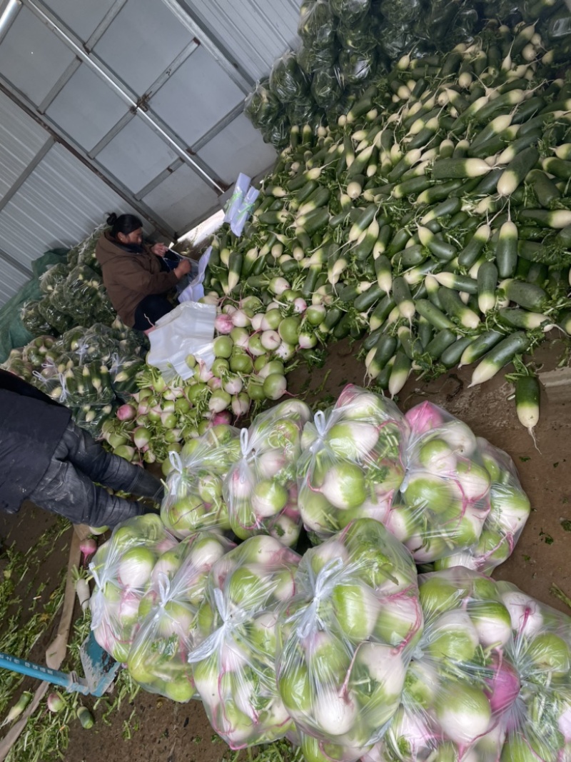 需要的朋友可以联系我