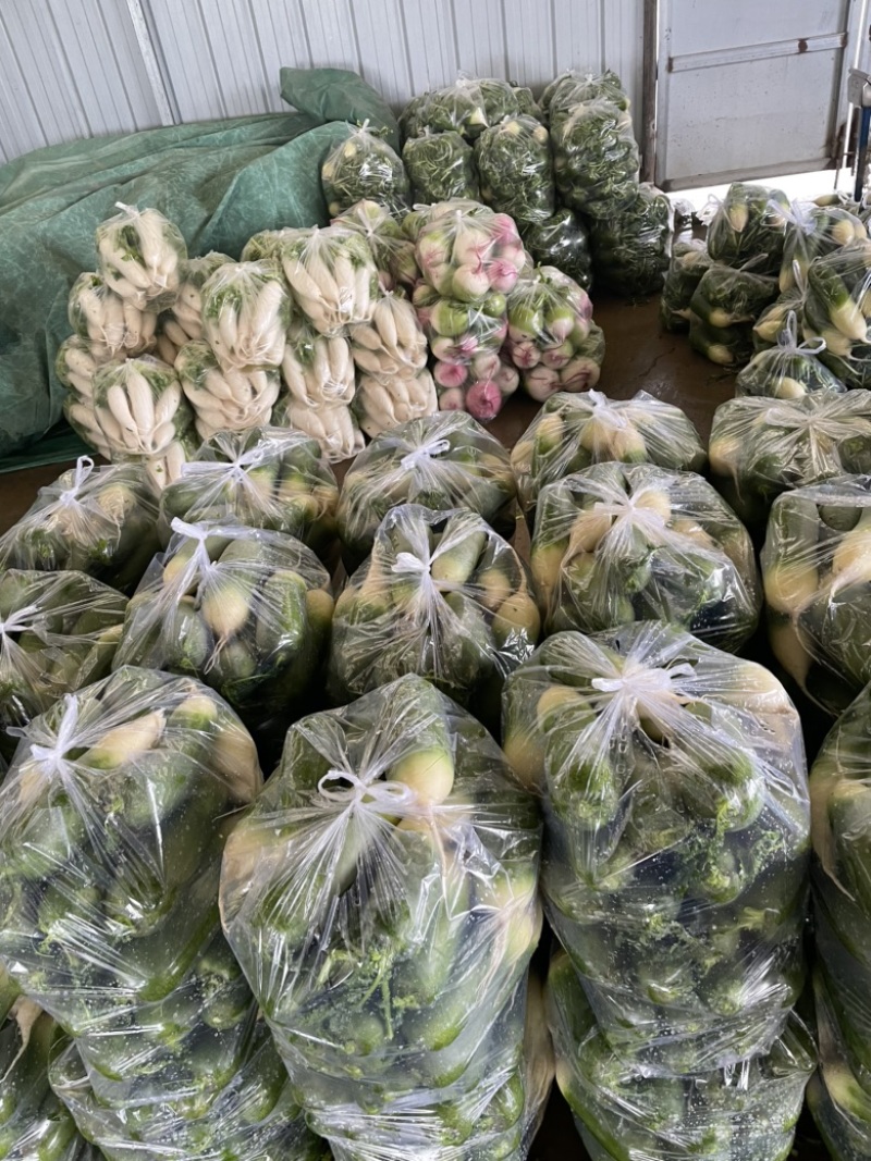 需要的朋友可以联系我