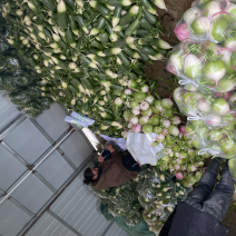 需要的朋友可以联系我