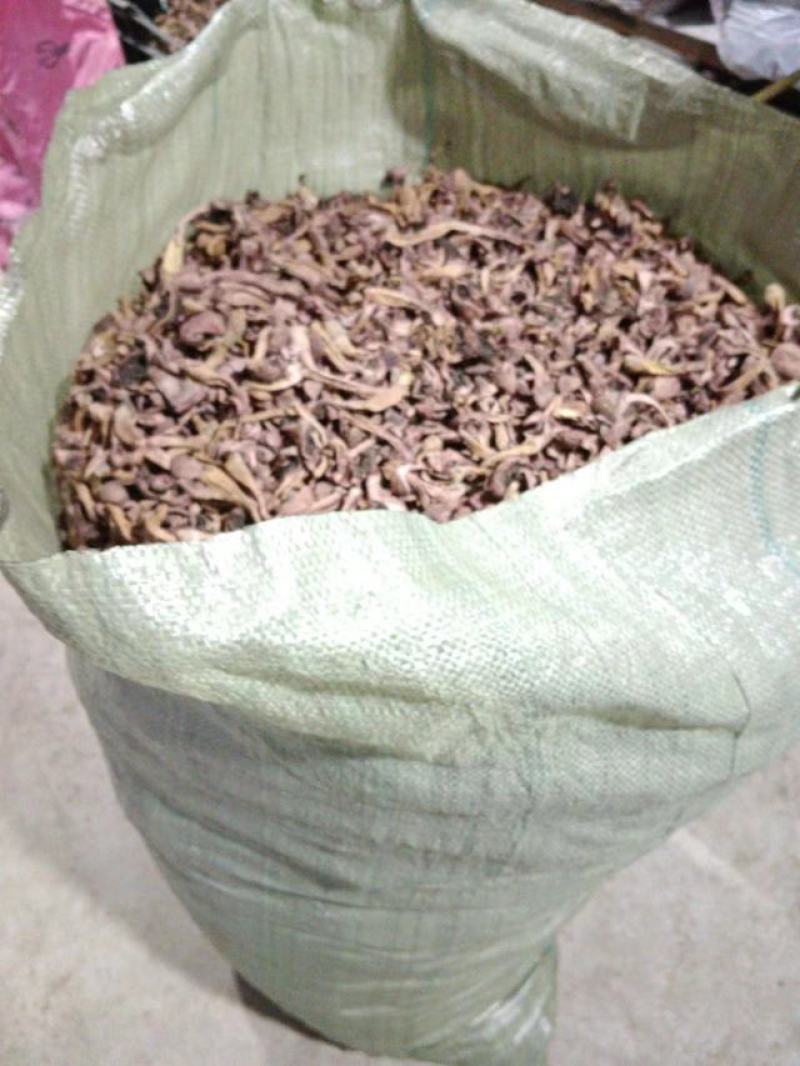 【精品】食用菌红蘑，松菇条子串子大量有货欢迎老板咨询