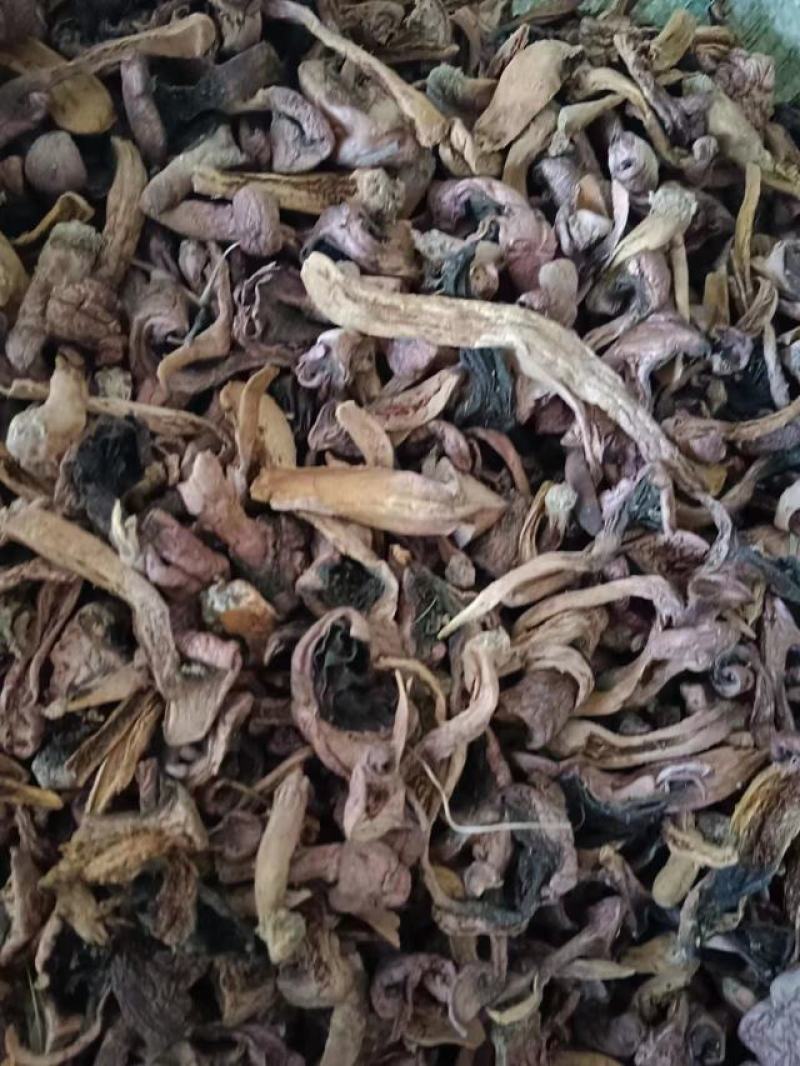 【精品】食用菌红蘑，松菇条子串子大量有货欢迎老板咨询