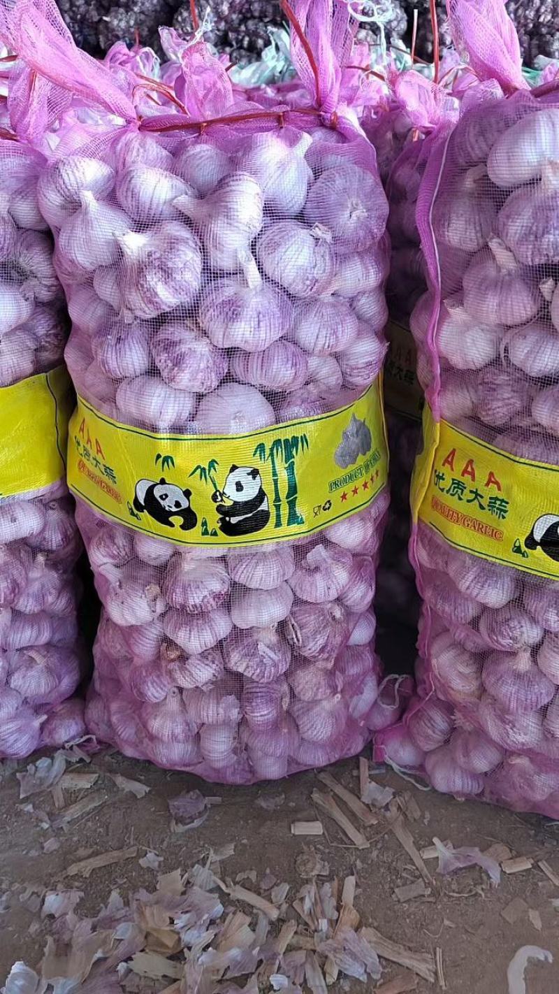 金乡县大蒜批发总公司.代加工保质保量产地直发