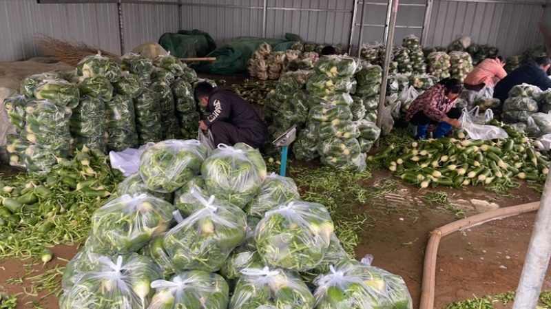 需要的朋友可以联系我