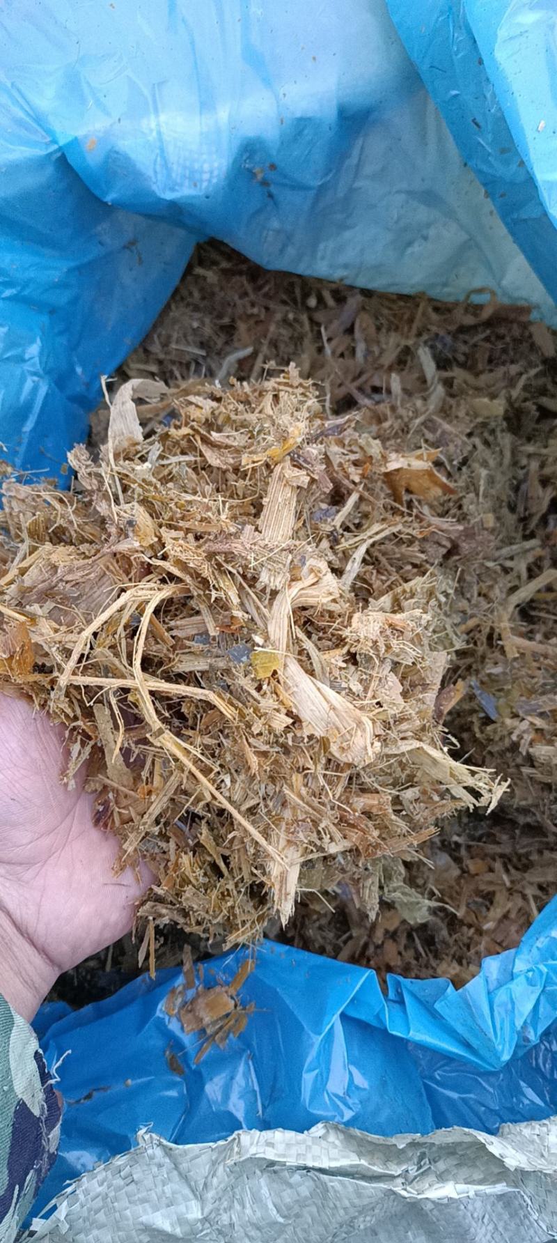 黄储玉米秸秆