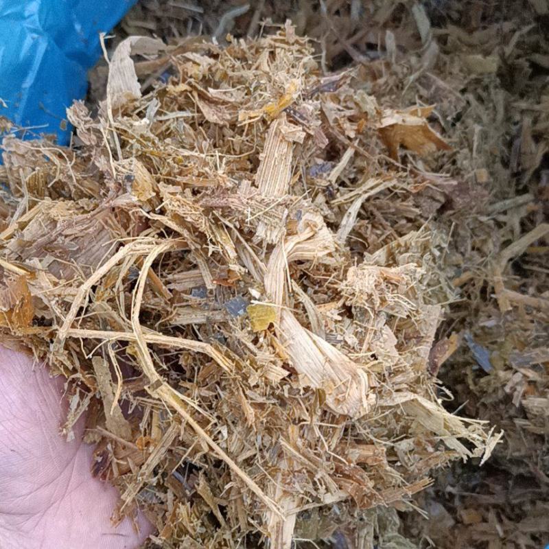 黄储玉米秸秆