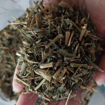 瞿麦苣麦巨麦各种规格中药材批发
