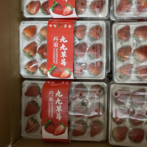 丹东草莓小果15头